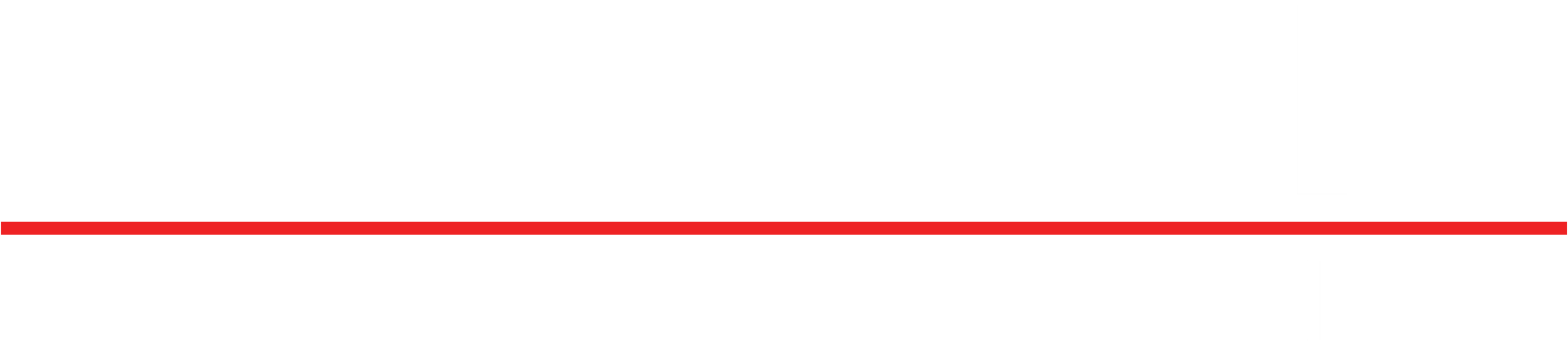 DSM_LOGO_white+red