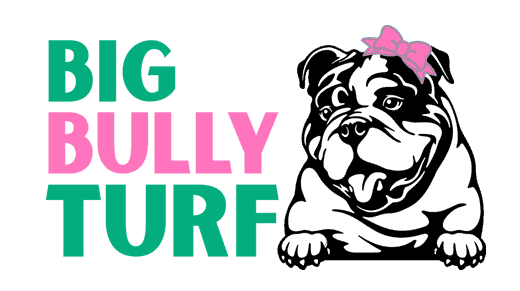 big-bully-turf-logo